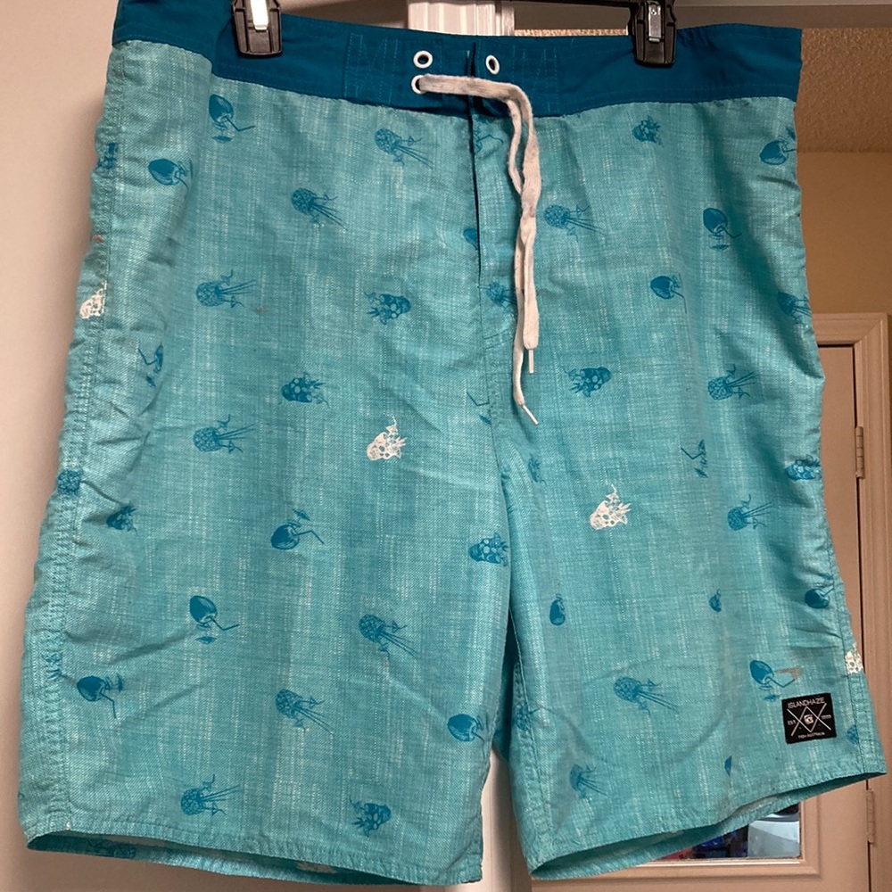 Mens island haze swim trunks